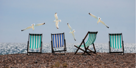 Praia ocupada por quatro cadeiras de descanso vazias e gaivotas sobrevoando a areia.